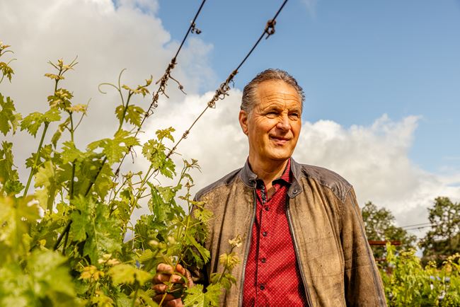 Winemaker, Ivo Jeramaz